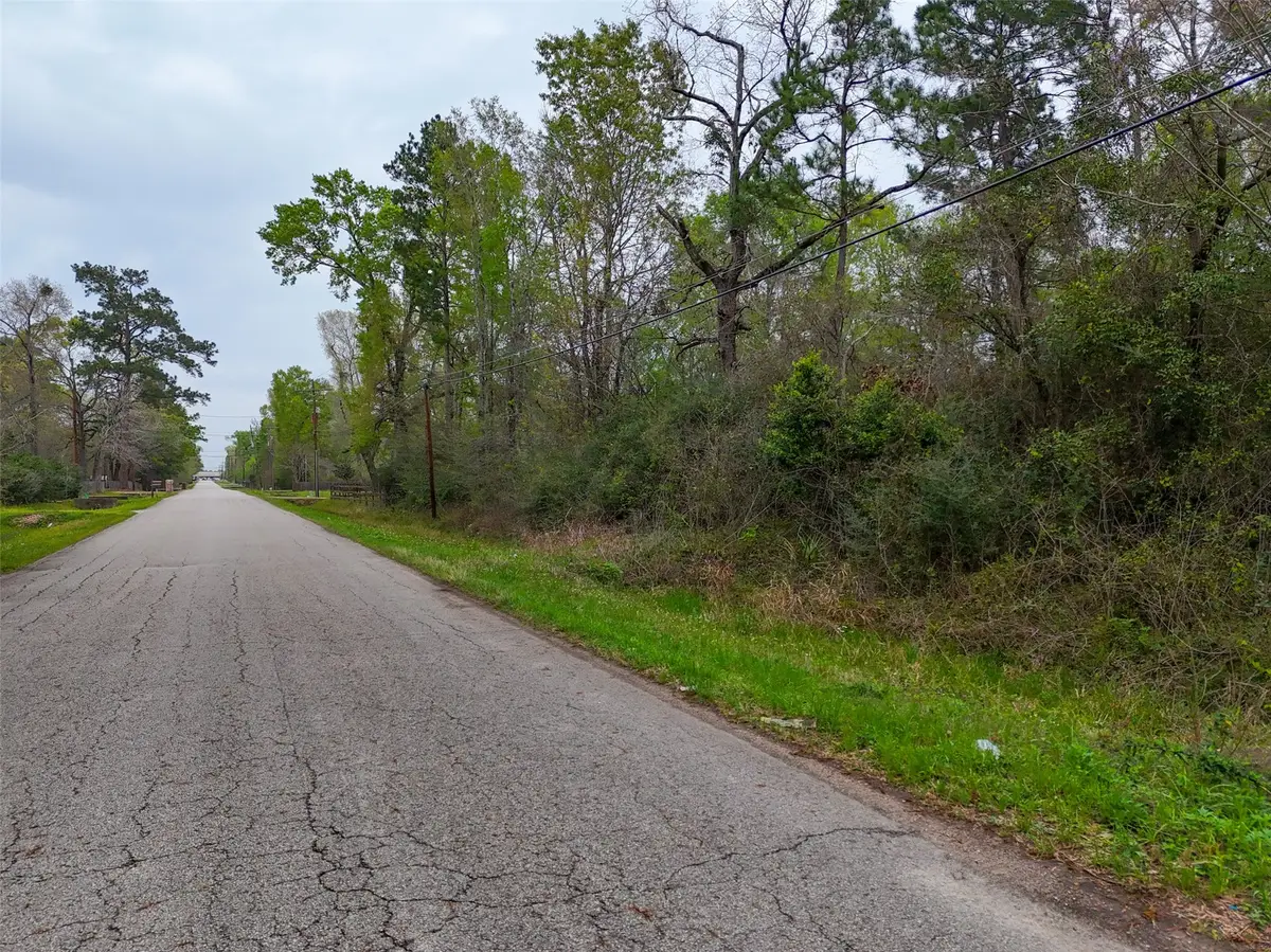 17051 Concord Drive, Conroe, TX 77385 - #1