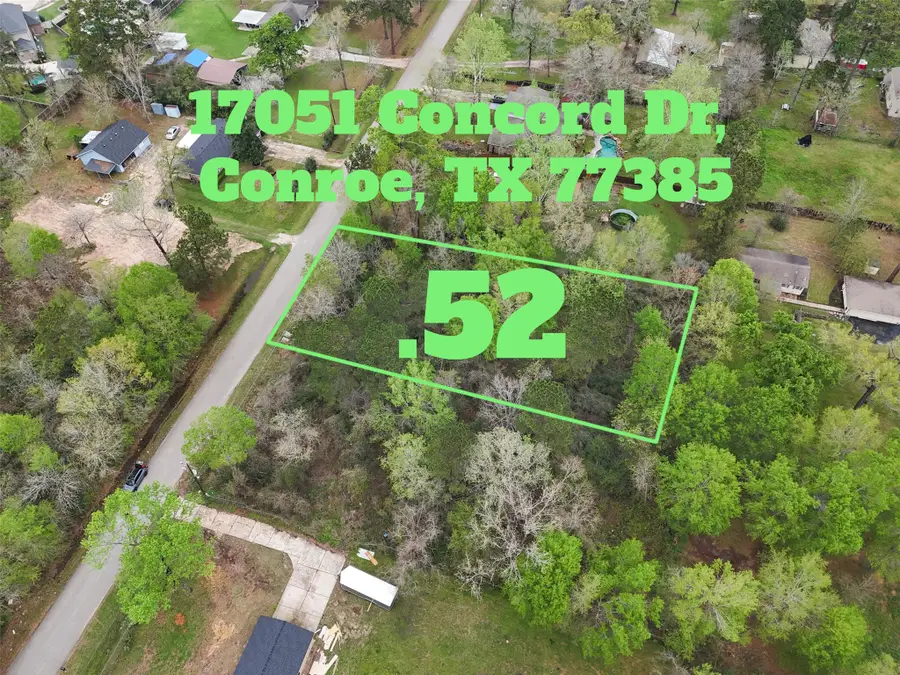 17051 Concord Drive, Conroe, TX 77385 - #3