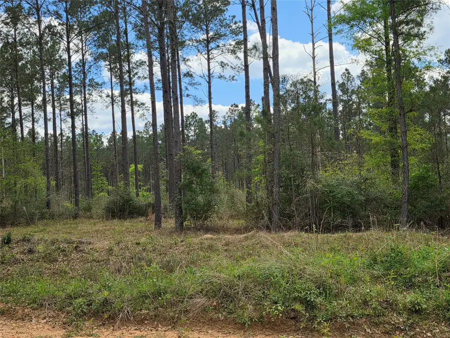 TBD Kelley Road, Livingston, TX 77351 - #2