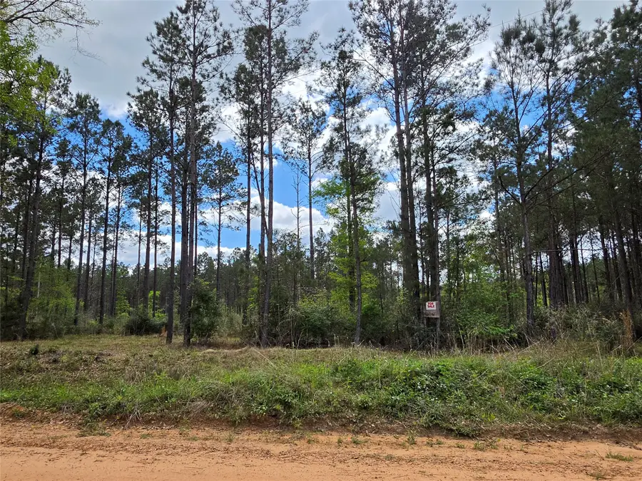 TBD Kelley Road, Livingston, TX 77351 - #3