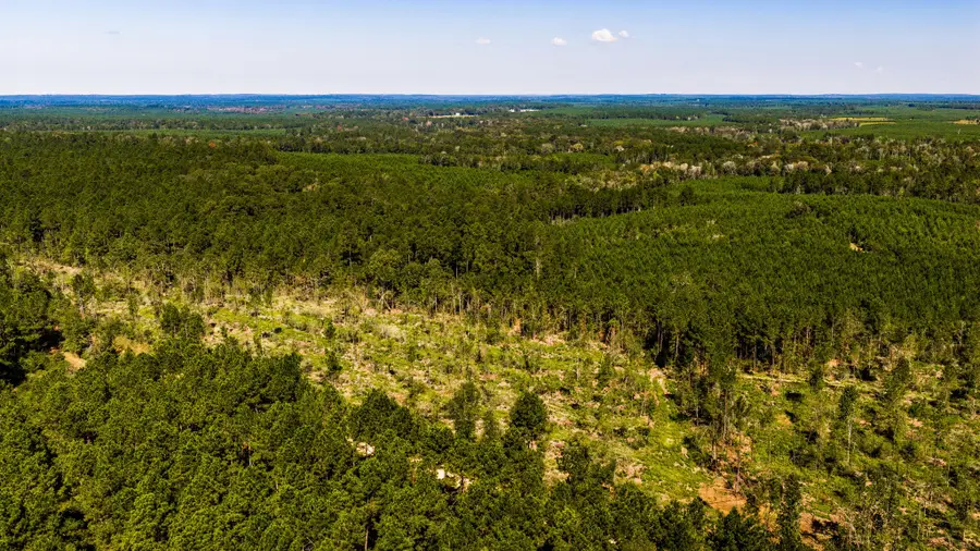 002 Buddy Lloyd Rd, Livingston, TX 77351 - #3