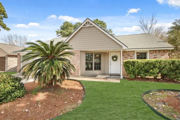 19718 Auburn Park Lane, Spring, TX 77379