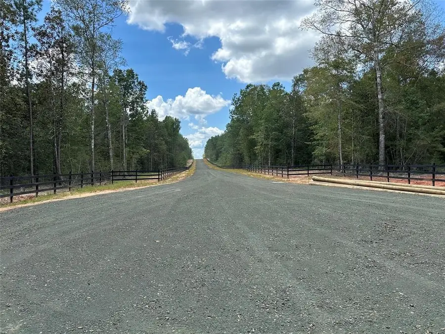 Trac 14 Timberland Branch Drive, Woodville, TX 75979 - #2