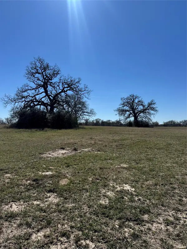 TBD Connor Landing Ct, Madisonville, TX 77864