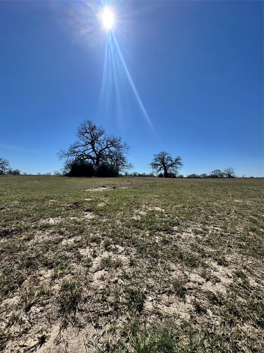 TBD Connor Landing Ct, Madisonville, TX 77864 - #3