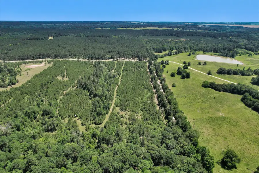 0 Williamson Way, Lovelady, TX 75851 - #3