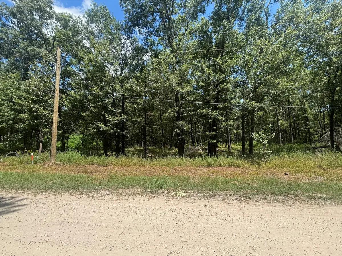 0 San Juan, Livingston, TX 77351 - #1
