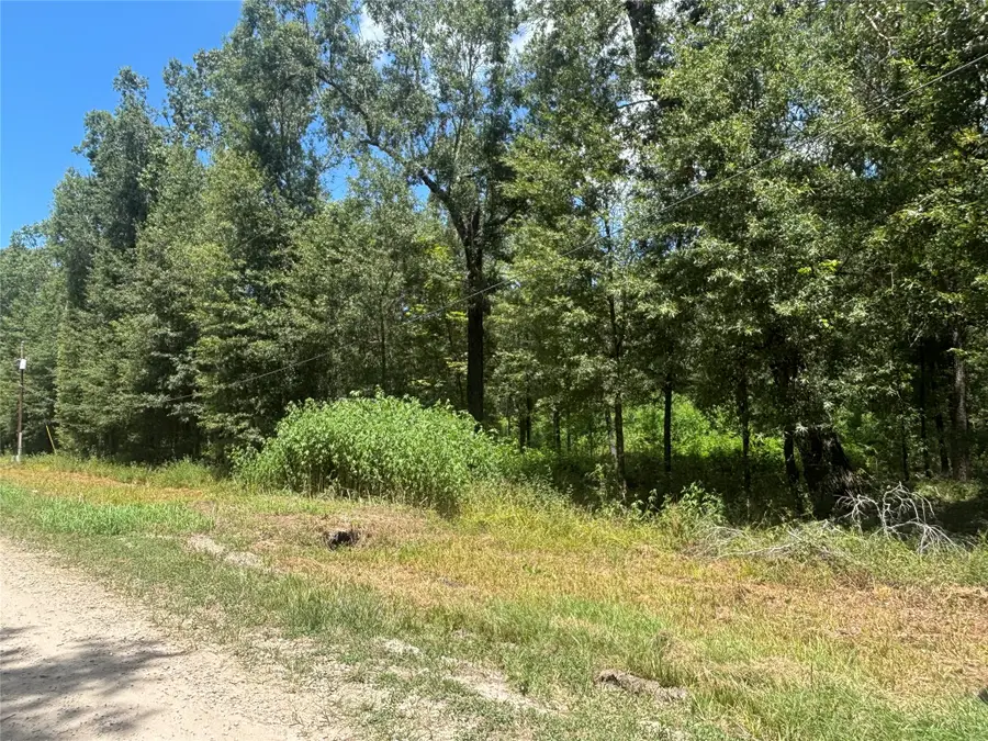 0 San Juan, Livingston, TX 77351 - #2