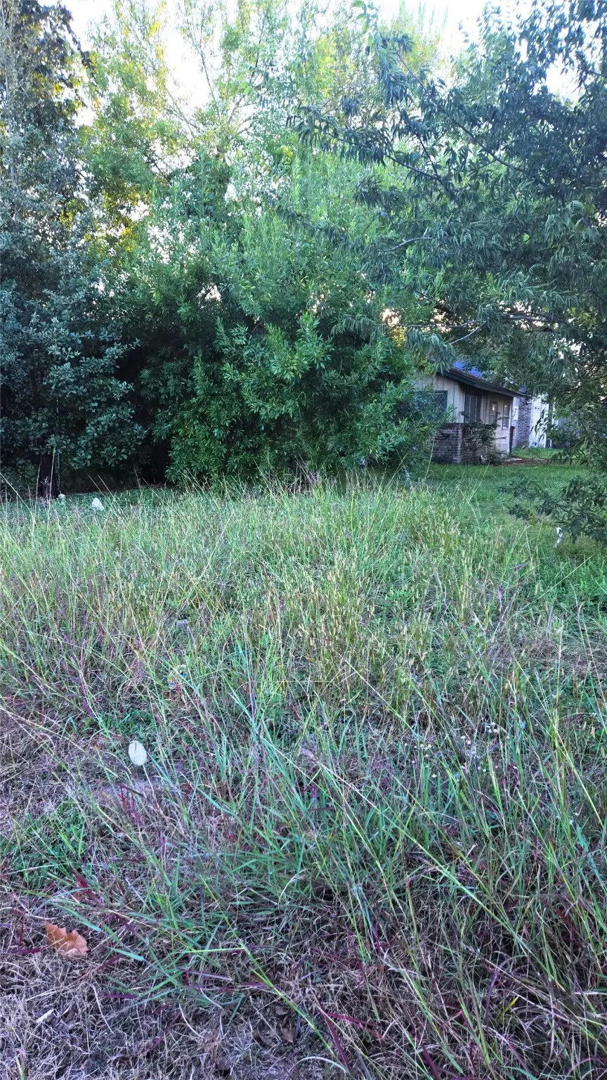 5642 Ricky St, Houston, TX 77033 - Image #3