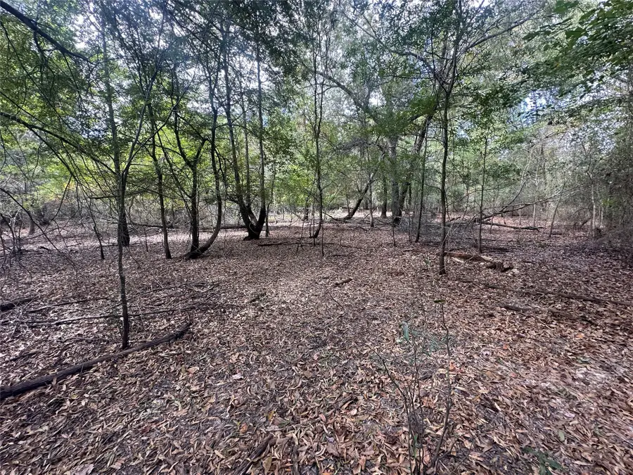 0 Fm 645, Palestine, TX 75803 - Image #3