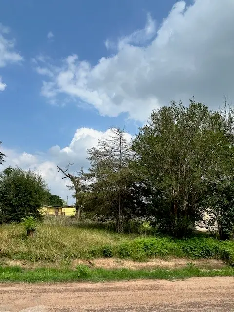 0 2nd Street, Hempstead, TX 77445 - #1