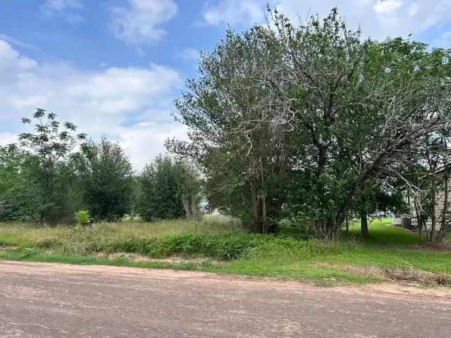 0 2nd Street, Hempstead, TX 77445 - #3