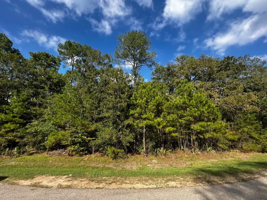 11805 & 11809 White Oak Pass, Conroe, TX 77385 - Image #3