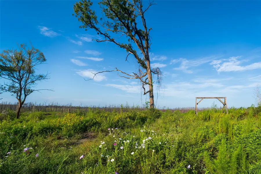 117 County Road 33, Jasper, TX 75938 - #3