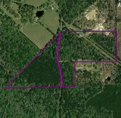 TBD Old White Oak Road, , TX 77374
