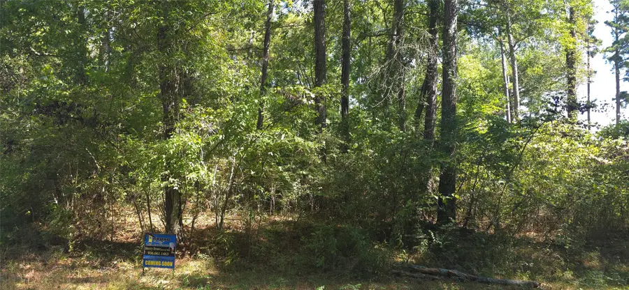 TBD Cove Dr, Point Blank, TX 77364 - #3