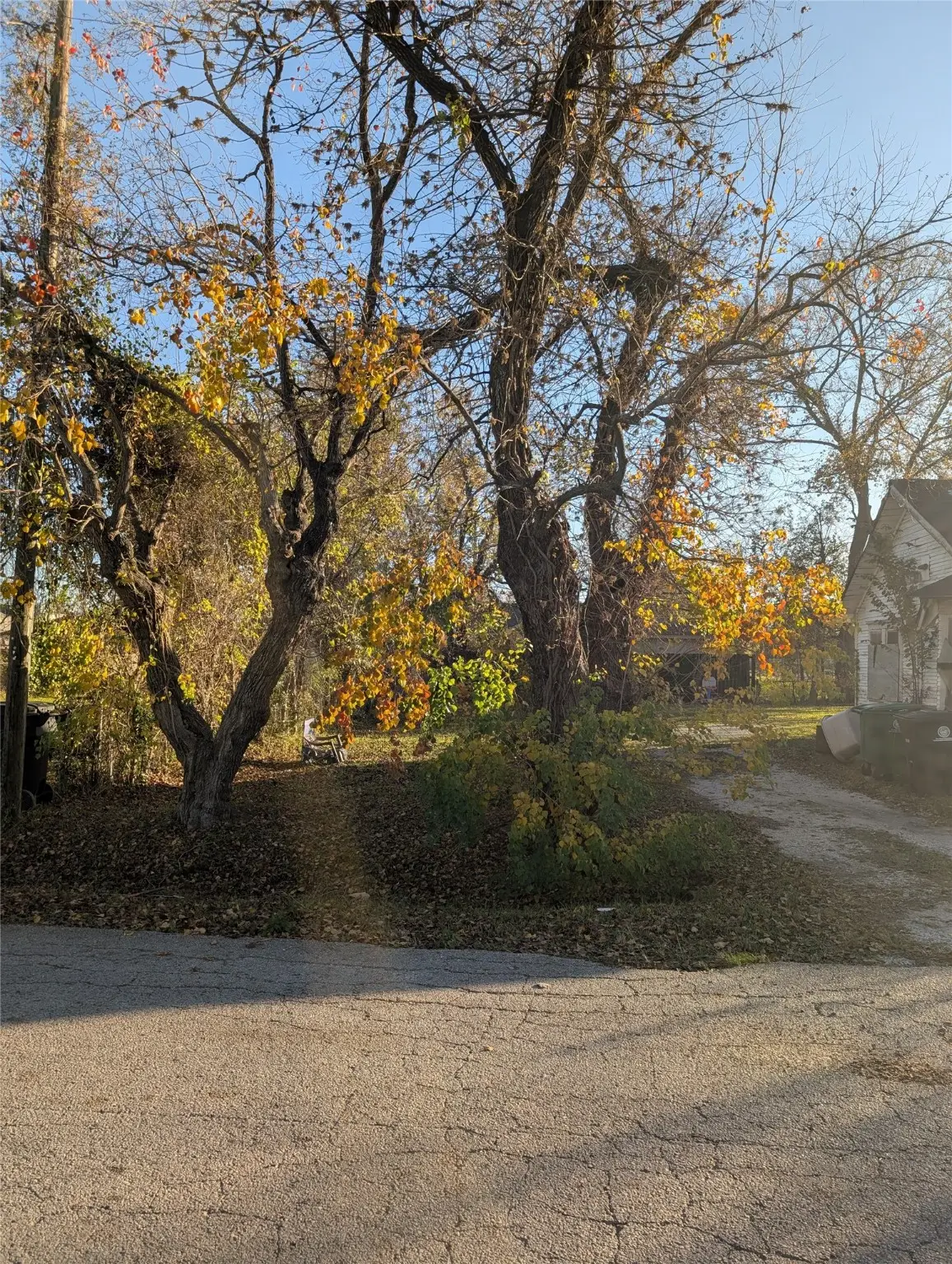 3104 Roland Street, Houston, TX 77026 - #1