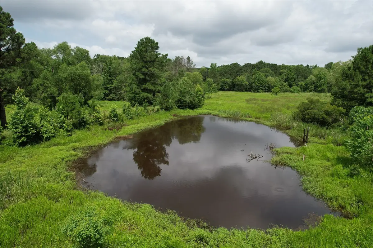 18.17 Acres County Road 1190, Grapeland, TX 75844 - Image #1