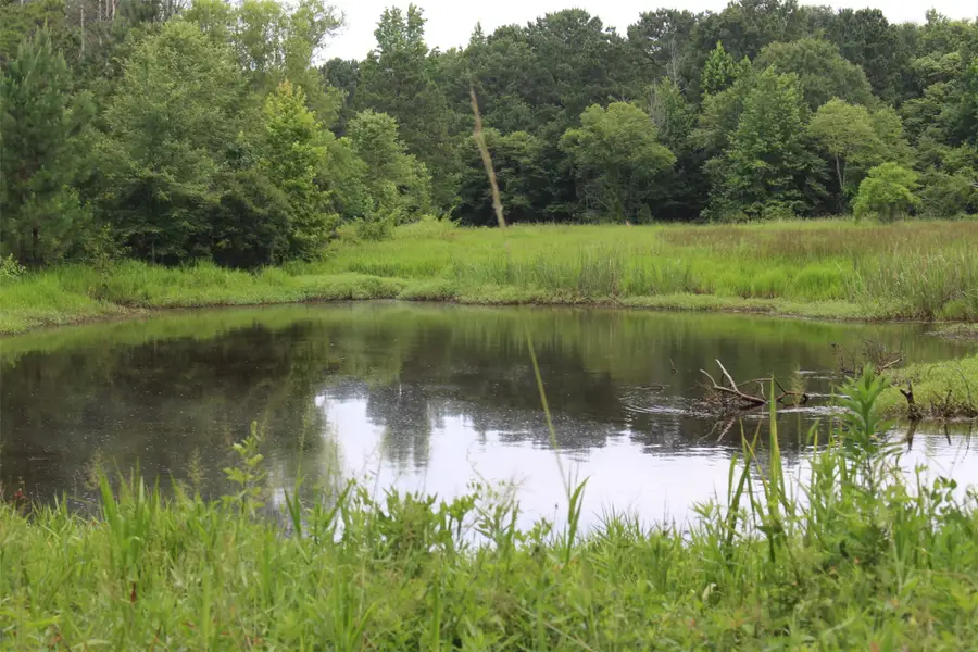 18.17 Acres County Road 1190, Grapeland, TX 75844 - Image #3