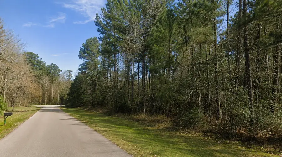 0 Ehler, Montgomery, TX 77356 - #2