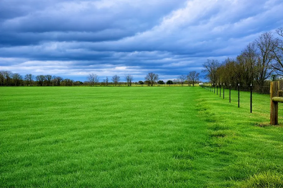 TBD A County Road 2058, Hull, TX 77564 - #2