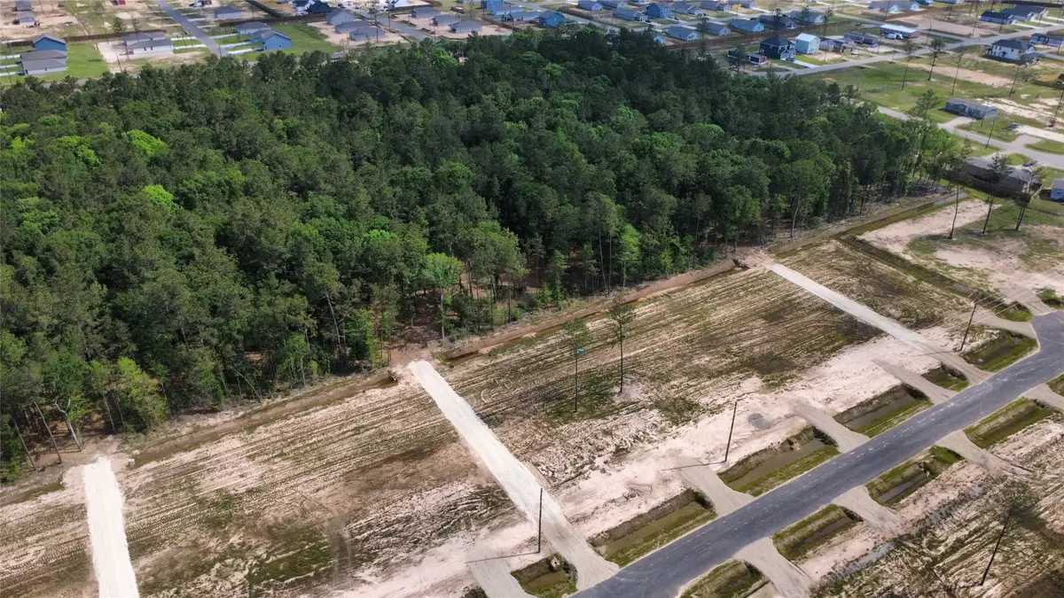 18385 Bunsen Drive, Conroe, TX 77306 - #1