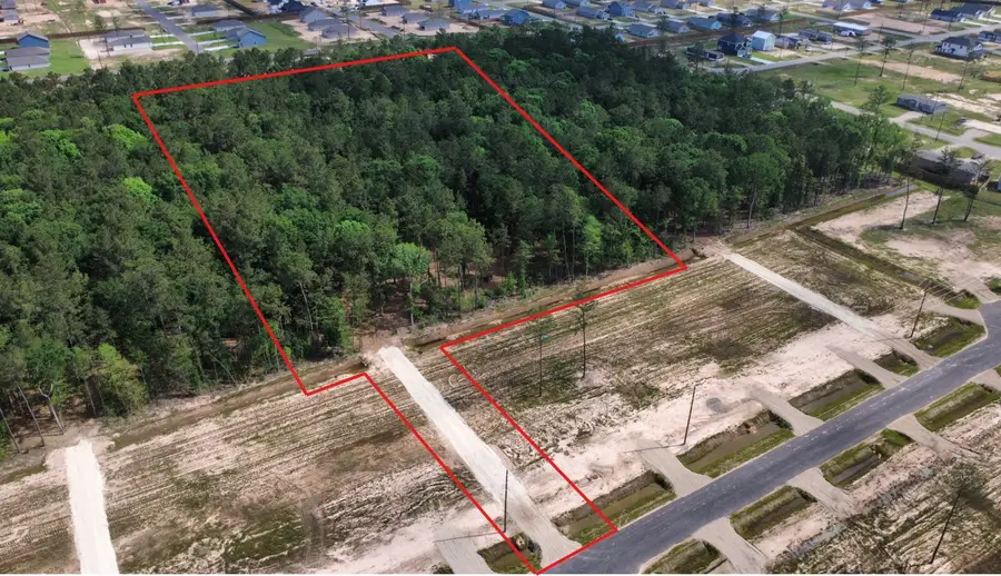 18385 Bunsen Drive, Conroe, TX 77306 - #2