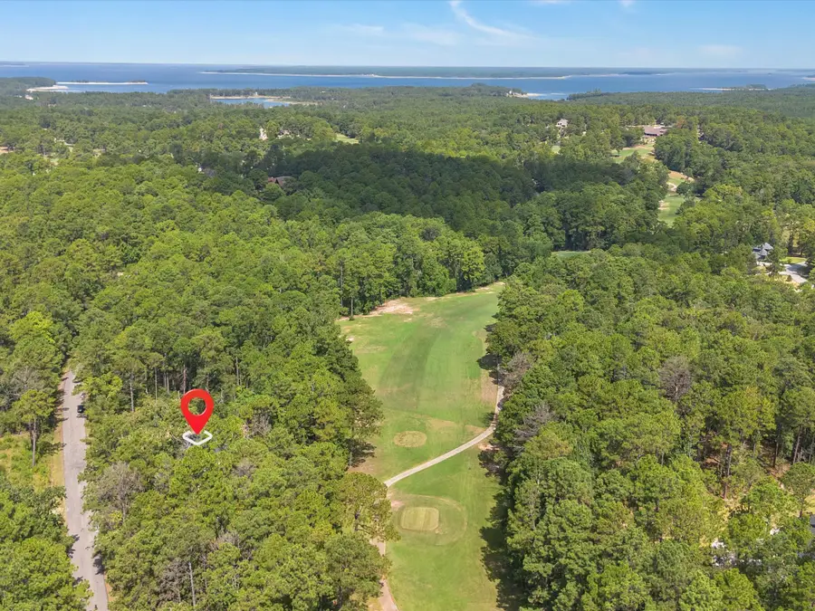 155 Victoria Drive, Brookeland, TX 75931 - #3
