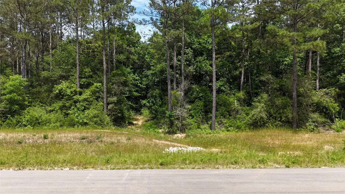 16308 Golden Wood Court, Willis, TX 77378 - #1