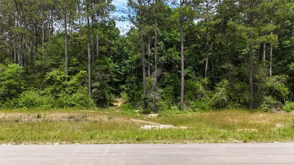 16308 Golden Wood Court, Willis, TX 77378