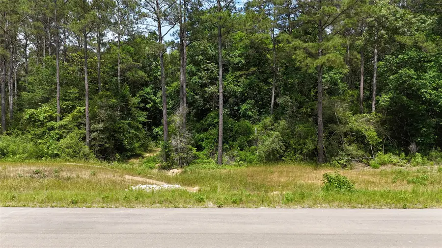 16308 Golden Wood Court, Willis, TX 77378 - #2