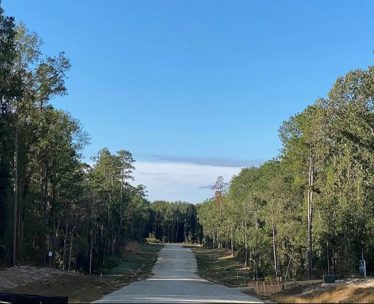 236 Hollow Hill Road, New Waverly, TX 77358 - #1