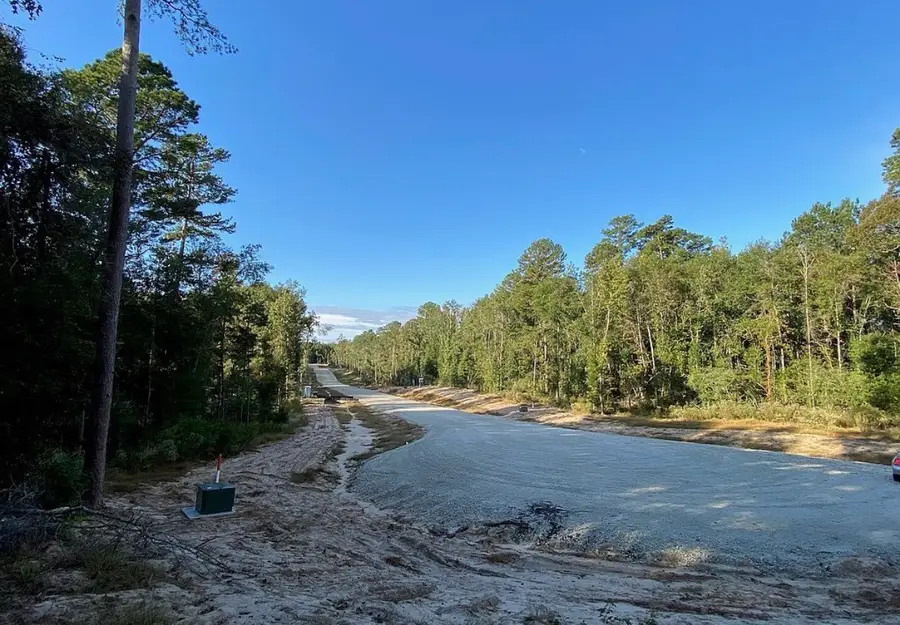 236 Hollow Hill Road, New Waverly, TX 77358 - #2