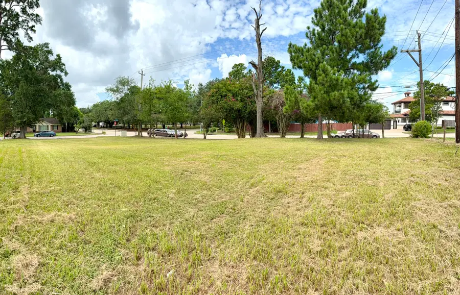 9746 Cedardale Drive, Houston, TX 77055 - #2