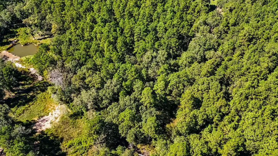 N/A County Road 2218, Cleveland, TX 77327 - Image #3