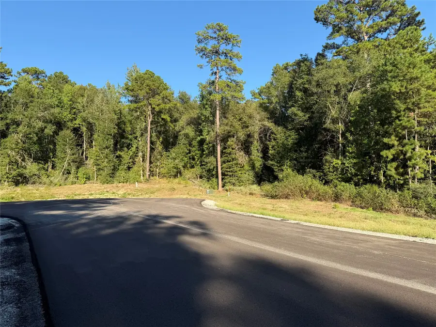 236 Hollow Hill Drive, Huntsville, TX 77358 - #2