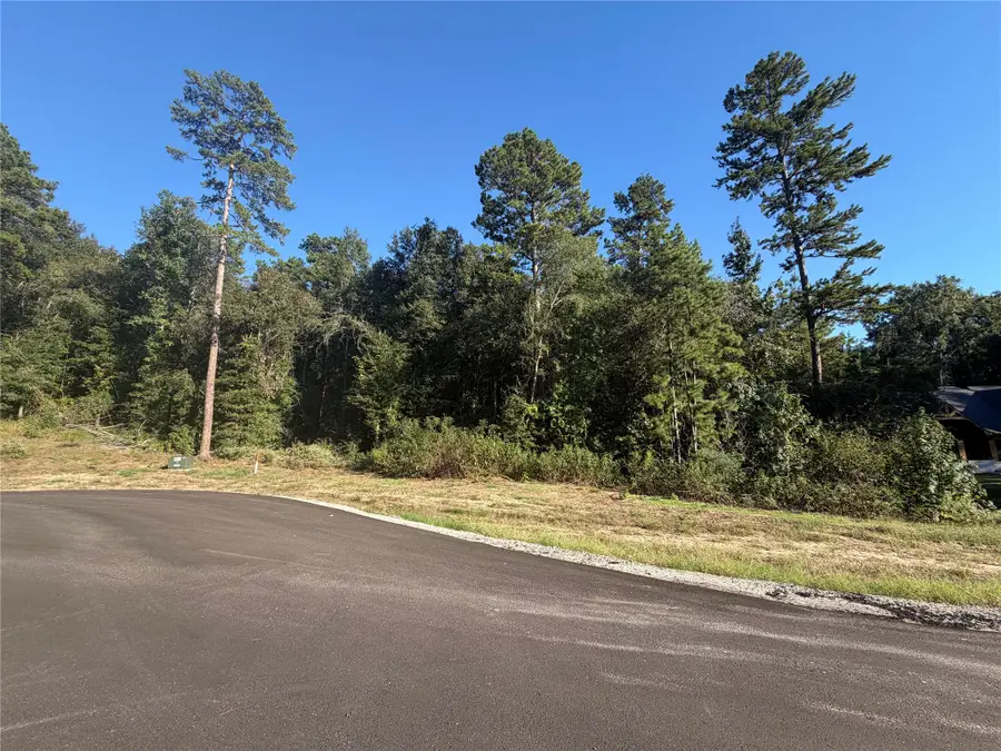 236 Hollow Hill Drive, Huntsville, TX 77358 - #3