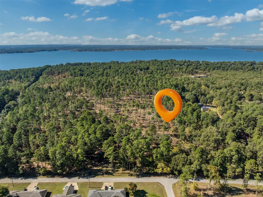 Lot 5 Pintail Drive, Flint, TX 75762 - Image #2