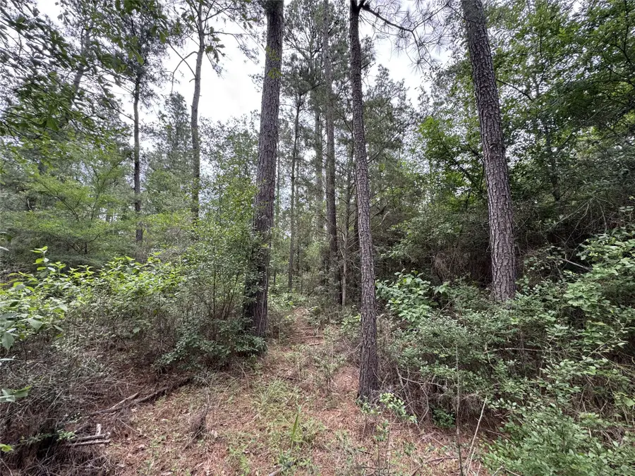 T3 Round Prairie Road, Huntsville, TX 77320 - #3