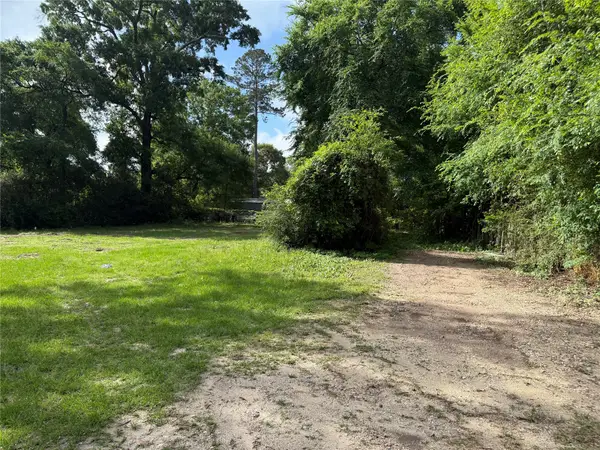 29107 Portsoy Drive, Magnolia, TX 77354