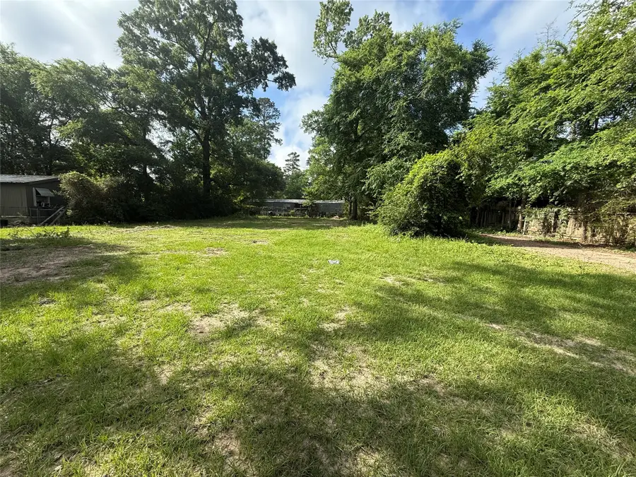 29107 Portsoy Drive, Magnolia, TX 77354 - #2