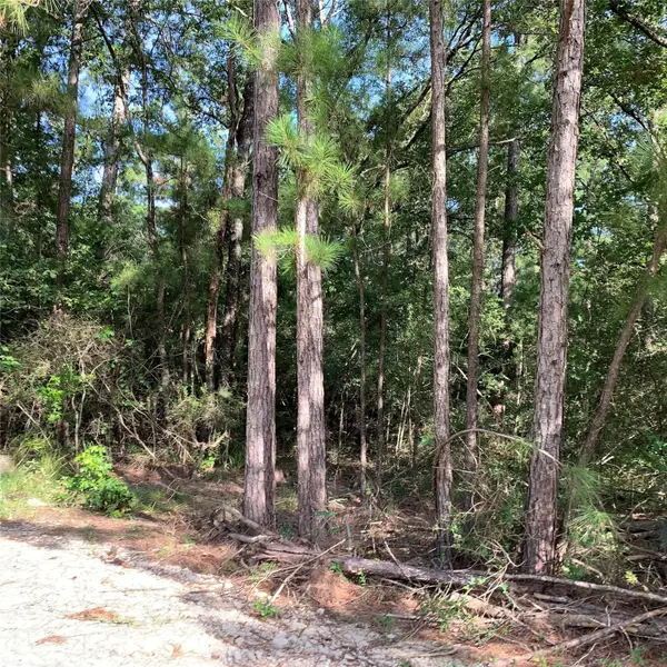 TBD Hard Rock Ln Drive, Trinity, TX 75862