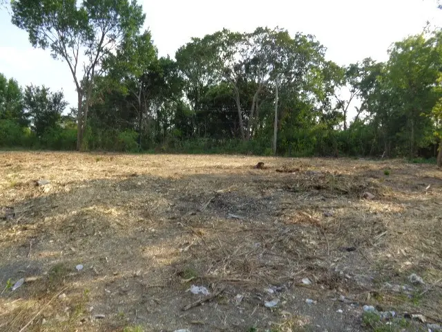 3630 Nita Street, Houston, TX 77051 - Image #2