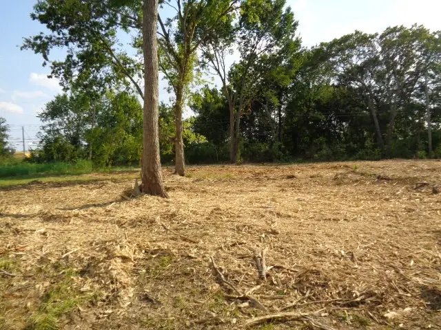 3630 Nita Street, Houston, TX 77051 - Image #3