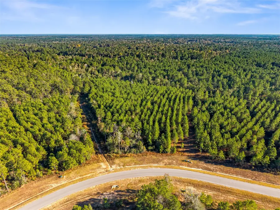 12684 Oak Barrel Road, Willis, TX 77378 - Image #2