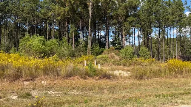 1365 Road 5890, Cleveland, TX 77327 - Image #3