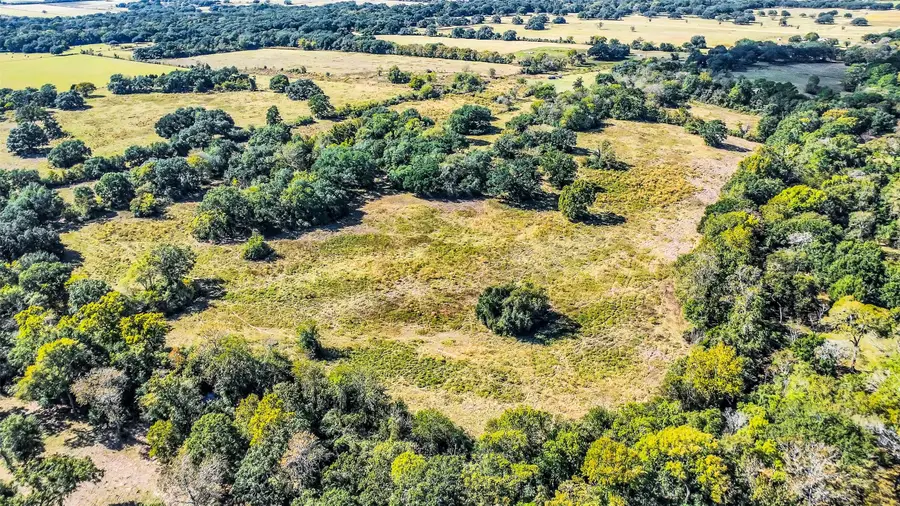 28107 Margerstadt Road, Waller, TX 77484 - Image #2