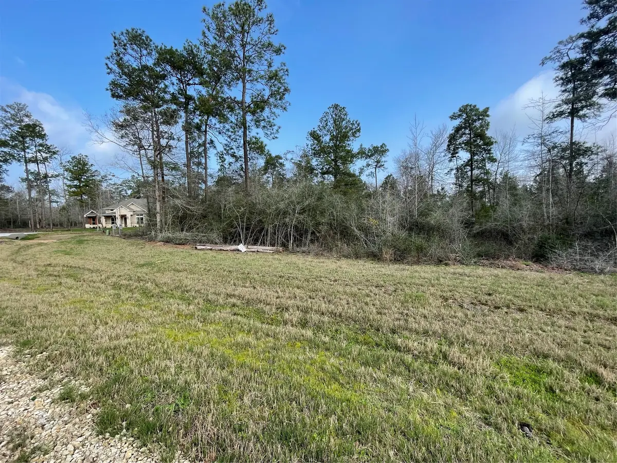 122 Signal Road, New Waverly, TX 77358 - #1