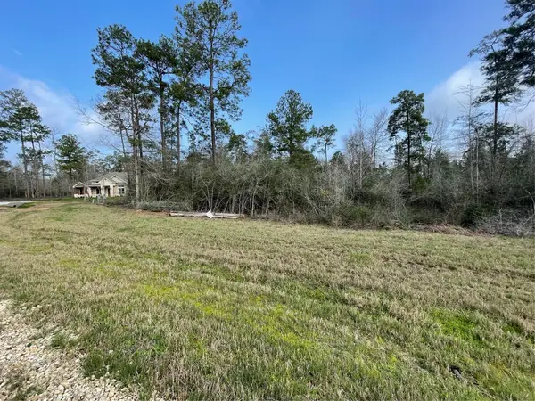 122 Signal Road, New Waverly, TX 77358