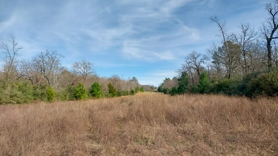 0 Fm 1511, Buffalo, TX 75831 - Image #2